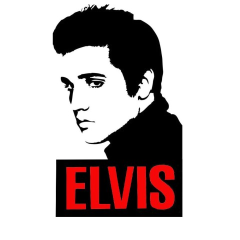 Camiseta Elvis